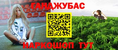 герыч Гатчина